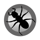 Ants