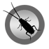 Cockroaches