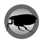 Fleas