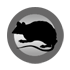 Rats and Mice