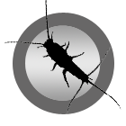 Silverfish