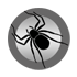 Spiders