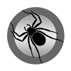 Spiders