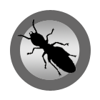 Termites