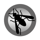Wasps
